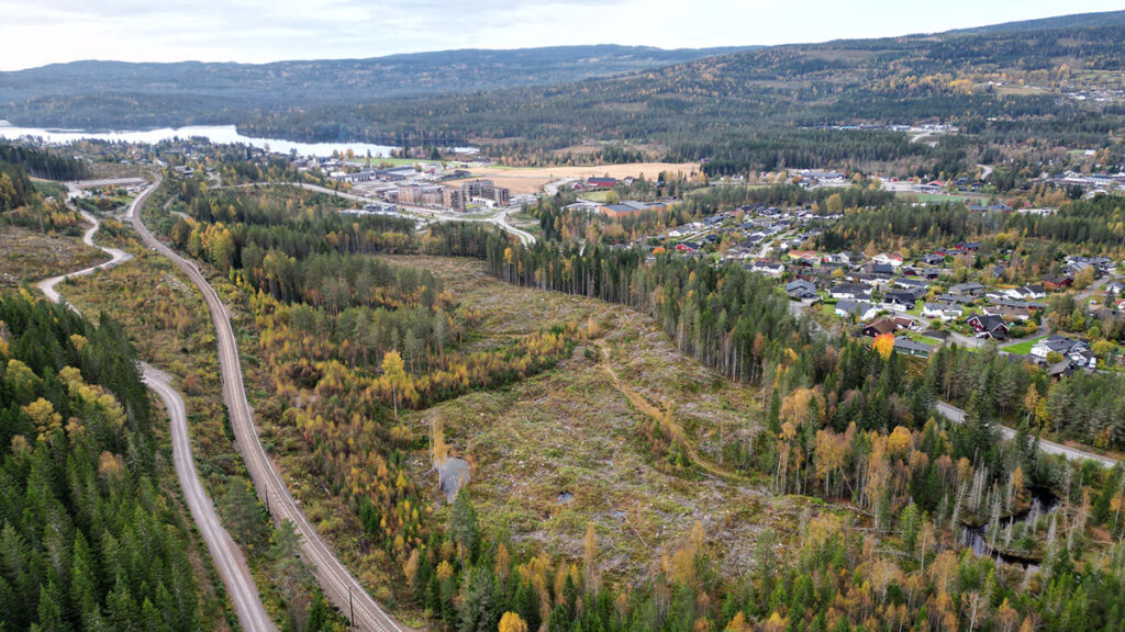 Harestulia Sagparken Utvikling